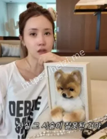 李多海宠物狗因医疗失误死亡